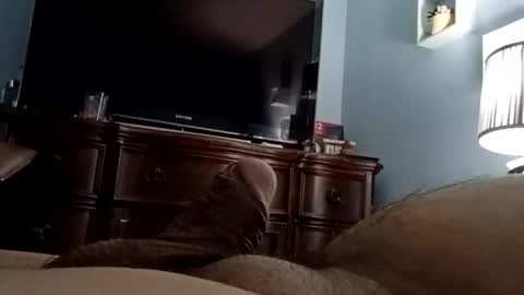 12345marihtc online show from November 2025 03:06:02 AM