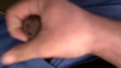 12theose online show from February 2026 10:30:02 AM