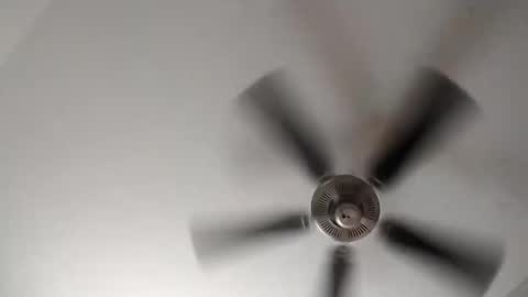 luv to cum online show from May 2026 09:10:01 PM