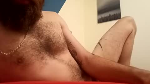 20cmharder online show from October 2025 08:59:01 AM