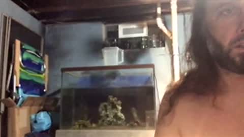 33adidas online show from November 2025 08:48:02 AM