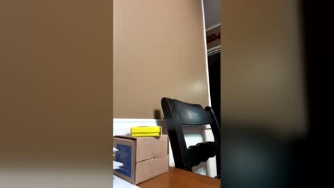 33adidas online show from December 2025 09:07:01 AM