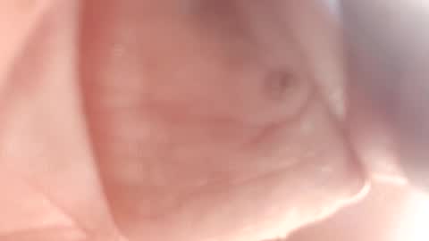 Snapshot of 3this88guy chatting on February 2025 07:24:02 PM Thisguy online show from February 2025 07:24:02 PM