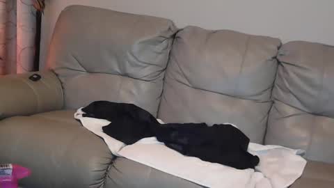 Jane online show from January 2025 08:04:02 PM