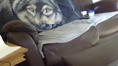 66bear online show from March 2026 12:53:01 PM