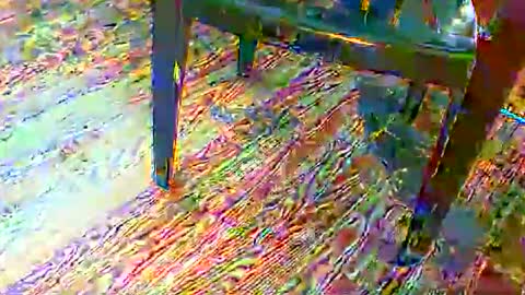 69forever453443 online show from November 2025 01:55:02 PM