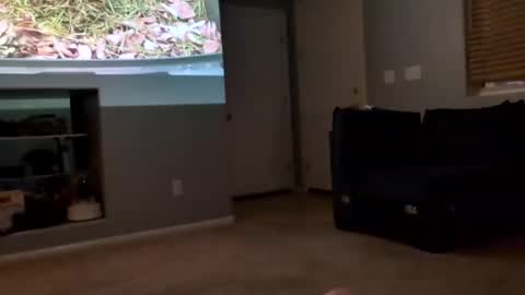 Snapshot of 69singledad79 chatting on March 2025 04:17:02 AM 69singledad79 online show from March 2025 04:17:02 AM