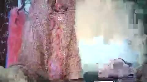 Lilu online show from February 2026 09:41:02 AM