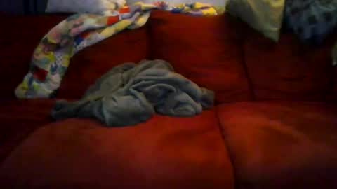 77steve7777 online show from December 2025 11:16:02 AM