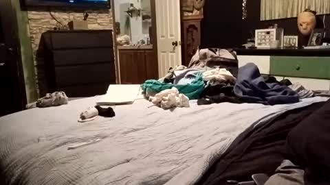 7lairddip online show from April 2026 01:15:01 AM