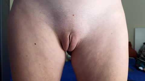 Mila online show from February 2025 09:56:02 AM