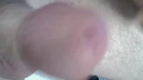 Snapshot of 81_harterschwanz chatting on January 2025 03:07:01 PM Maximilian Max online show from January 2025 03:07:01 PM