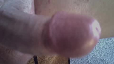 Snapshot of 81_harterschwanz chatting on March 2025 11:55:02 AM Maximilian Max online show from March 2025 11:55:02 AM