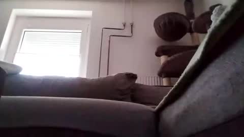 88piterr88 online show from February 2025 07:22:02 AM