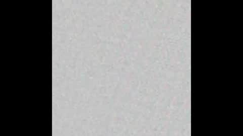 8Inchpunkpup online show from March 2026 07:57:01 PM