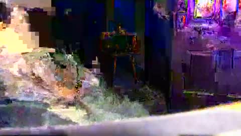 99ez99 online show from January 2026 07:56:01 AM