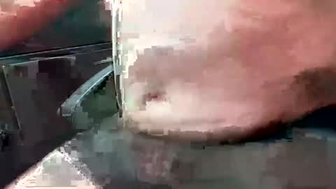 99zeus9 online show from October 2025 12:13:02 PM