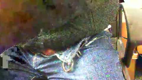 99zeus9 online show from November 2025 01:46:02 PM