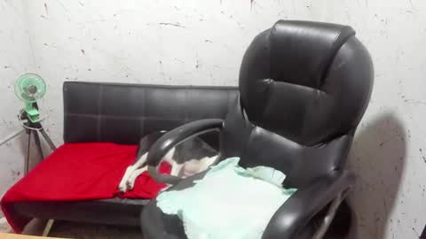     ----       online show from March 2026 05:04:01 AM