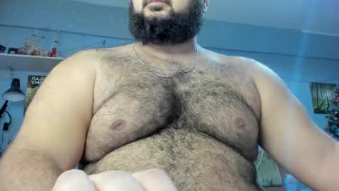 Snapshot of _alan_bear_ chatting on January 2025 11:17:01 AM Alan online show from January 2025 11:17:01 AM