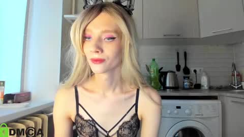 Gaylord online show from January 2025 12:00:01 PM