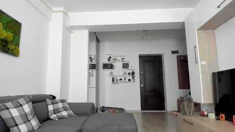 Ariana online show from February 2025 07:45:01 AM