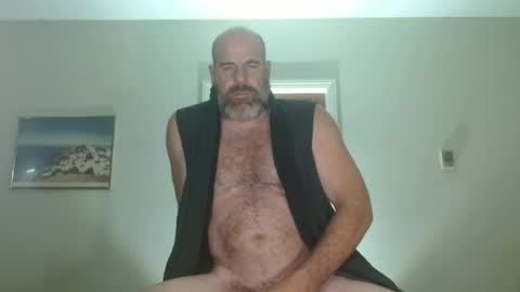 Bacchus online show from June 2026 01:56:02 PM