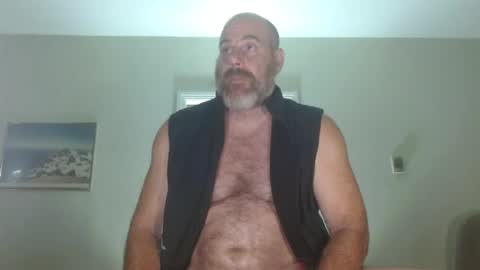Bacchus online show from July 2026 01:25:02 PM