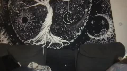 bandit online show from January 2025 02:38:01 AM