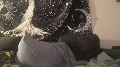 bandit online show from February 2025 05:01:01 AM