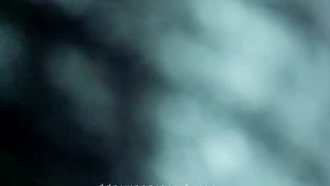 _black_horse_1 online show from May 2026 11:34:04 PM