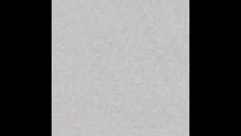 Brenda online show from November 2025 11:44:02 AM