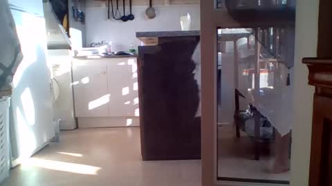 Snapshot of _bubble_buttfunxxx chatting on June 2026 06:03:01 AM _bubble_buttfunxxx online show from June 2026 06:03:01 AM