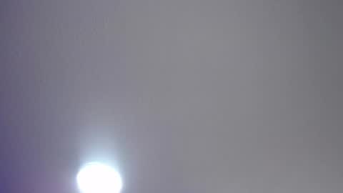_charlotte_collins_ online show from July 2026 04:23:02 PM