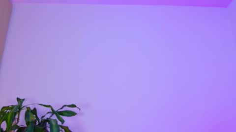 Emi online show from February 2026 02:53:01 AM