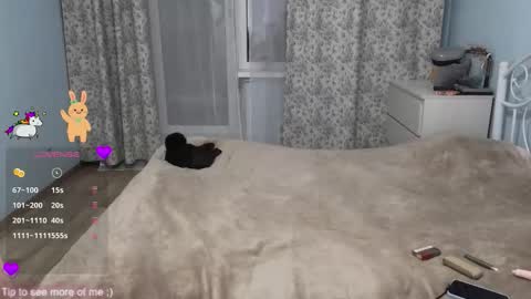 Sam  online show from January 2026 02:19:01 PM