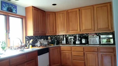 Frankie Rivers allmylinks  online show from March 2025 10:58:01 PM