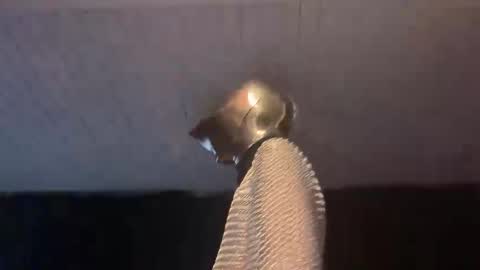 Snapshot of _goodknight chatting on February 2025 05:07:02 AM GOODKNIGHT online show from February 2025 05:07:02 AM