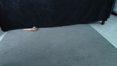 Snapshot of _jade_16 chatting on October 2025 11:32:02 AM Miss Jade online show from October 2025 11:32:02 AM