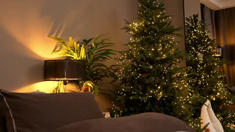 Snapshot of _keti_ chatting on November 2025 06:12:01 PM FANSLY --- anal in private 700 tokens online show from November 2025 06:12:01 PM