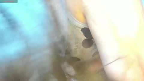 Mily online show from February 2025 09:15:02 PM