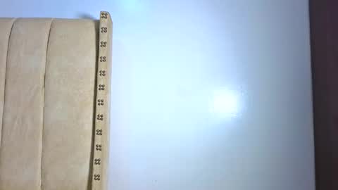 Snapshot of _littlevenus chatting on February 2026 02:53:01 AM Littlevenus online show from February 2026 02:53:01 AM