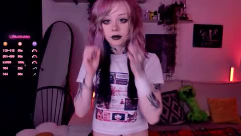 Lolly online show from November 2025 11:41:01 AM