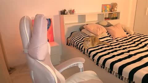 Amanda  mandy online show from November 2025 02:50:01 PM