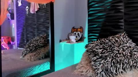 Snapshot of _lustyles_ chatting on October 2025 04:02:02 AM _lustyles_ online show from October 2025 04:02:02 AM