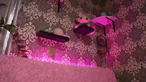 Stream  at  am in MoscowI am waiting for you very much3 online show from April 2026 11:13:02 PM