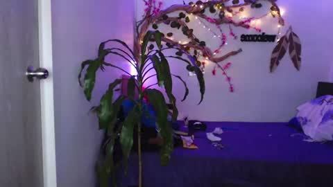 Marce  online show from July 2026 01:56:01 AM