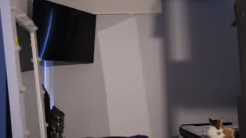 soy mike online show from February 2025 02:04:01 PM