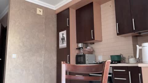 Snapshot of _morpho_ chatting on November 2025 11:21:02 AM Francine Aisi Morpho - a genus of blue butterflies. online show from November 2025 11:21:02 AM