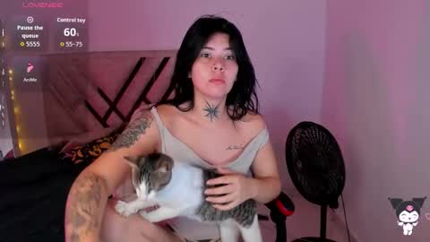 Stefany online show from February 2026 11:33:01 AM